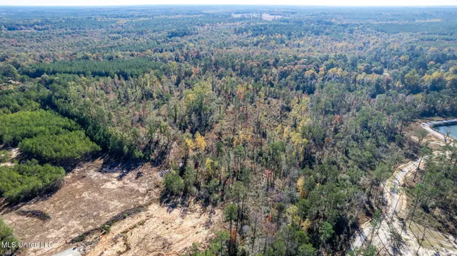 $289,500 | 36.08 Acres Placid Drive, Sumrall, MS 39482