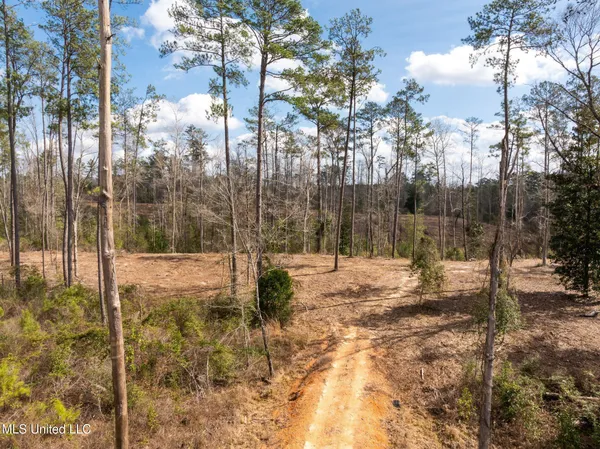 $249,500 | 36.08 Acres Placid Drive, Sumrall, MS 39482