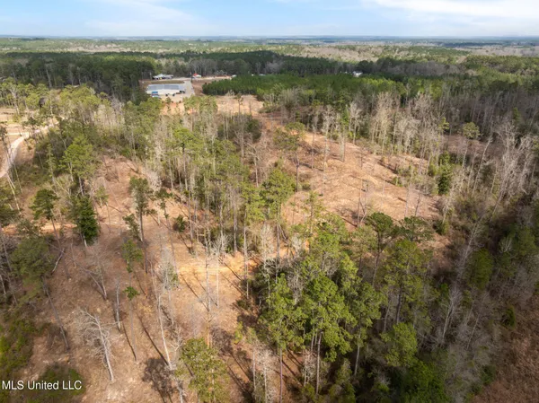 $249,500 | 36.08 Acres Placid Drive, Sumrall, MS 39482