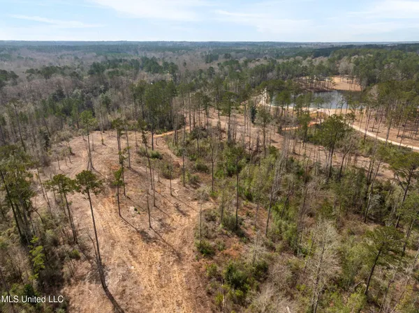 $249,500 | 36.08 Acres Placid Drive, Sumrall, MS 39482