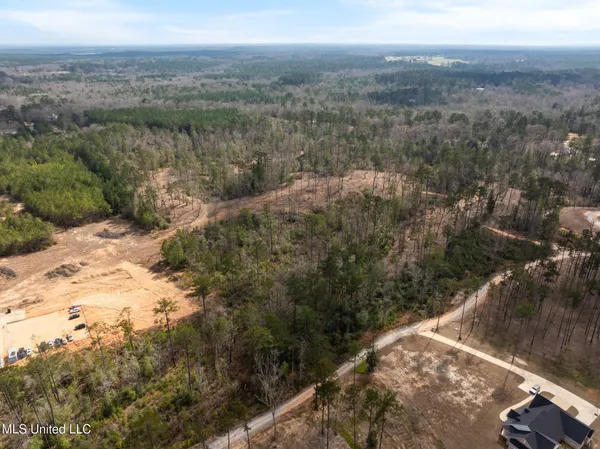 $249,500 | 36.08 Acres Placid Drive, Sumrall, MS 39482