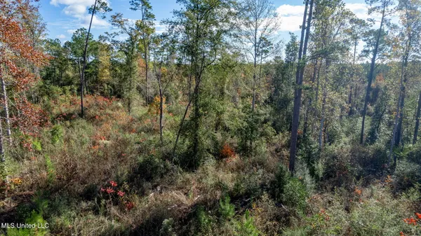 $249,500 | 36.08 Acres Placid Drive, Sumrall, MS 39482