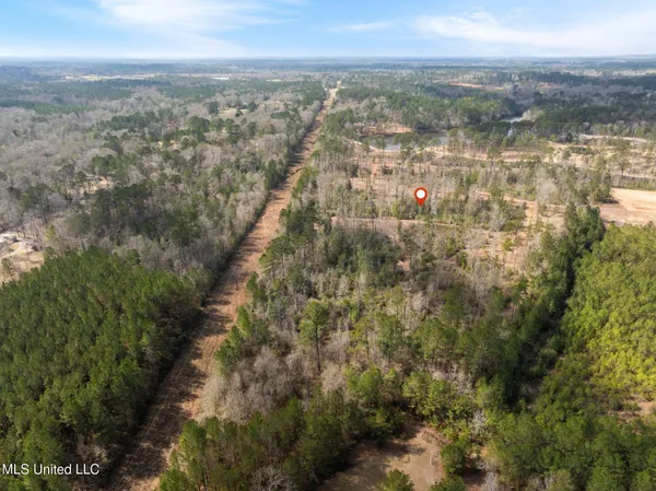 $249,500 | 36.08 Acres Placid Drive, Sumrall, MS 39482
