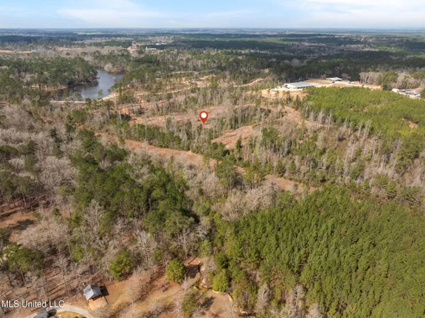 $249,500 | 36.08 Acres Placid Drive, Sumrall, MS 39482