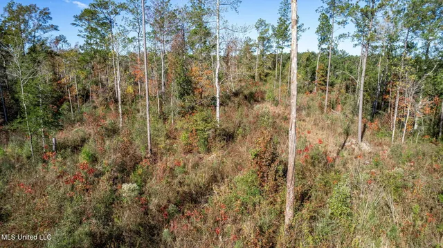 $289,500 | 36.08 Acres Placid Drive, Sumrall, MS 39482