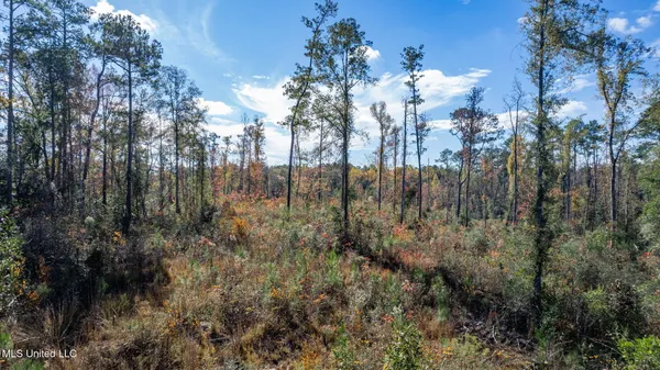 $249,500 | 36.08 Acres Placid Drive, Sumrall, MS 39482