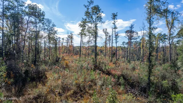 $289,500 | 36.08 Acres Placid Drive, Sumrall, MS 39482