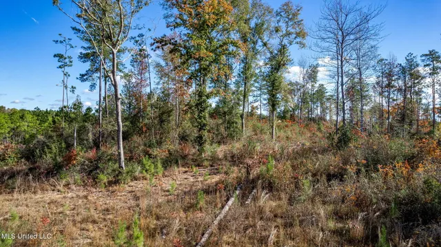 $289,500 | 36.08 Acres Placid Drive, Sumrall, MS 39482