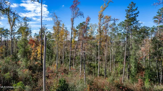 $289,500 | 36.08 Acres Placid Drive, Sumrall, MS 39482