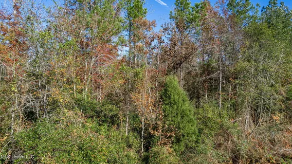 $249,500 | 36.08 Acres Placid Drive, Sumrall, MS 39482