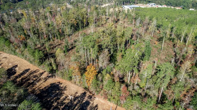 $289,500 | 36.08 Acres Placid Drive, Sumrall, MS 39482