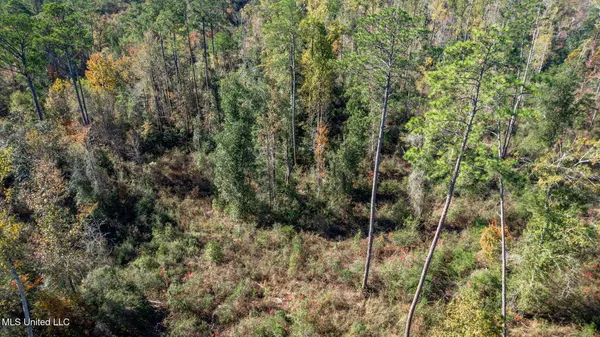 $249,500 | 36.08 Acres Placid Drive, Sumrall, MS 39482