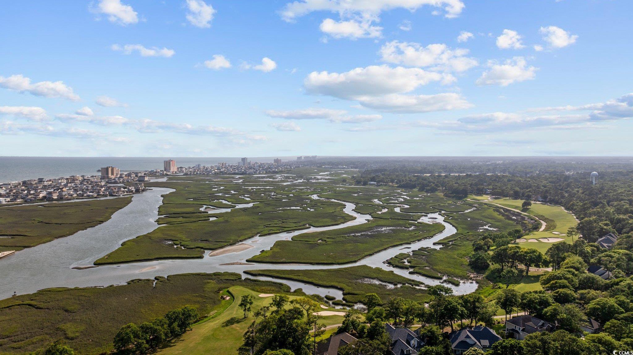 1221 Tidewater Drive, Unit 412 North Myrtle Beach, SC 29582 - Photo 34 of 36 Back of property with a yard, a shingled roof, and a chimney