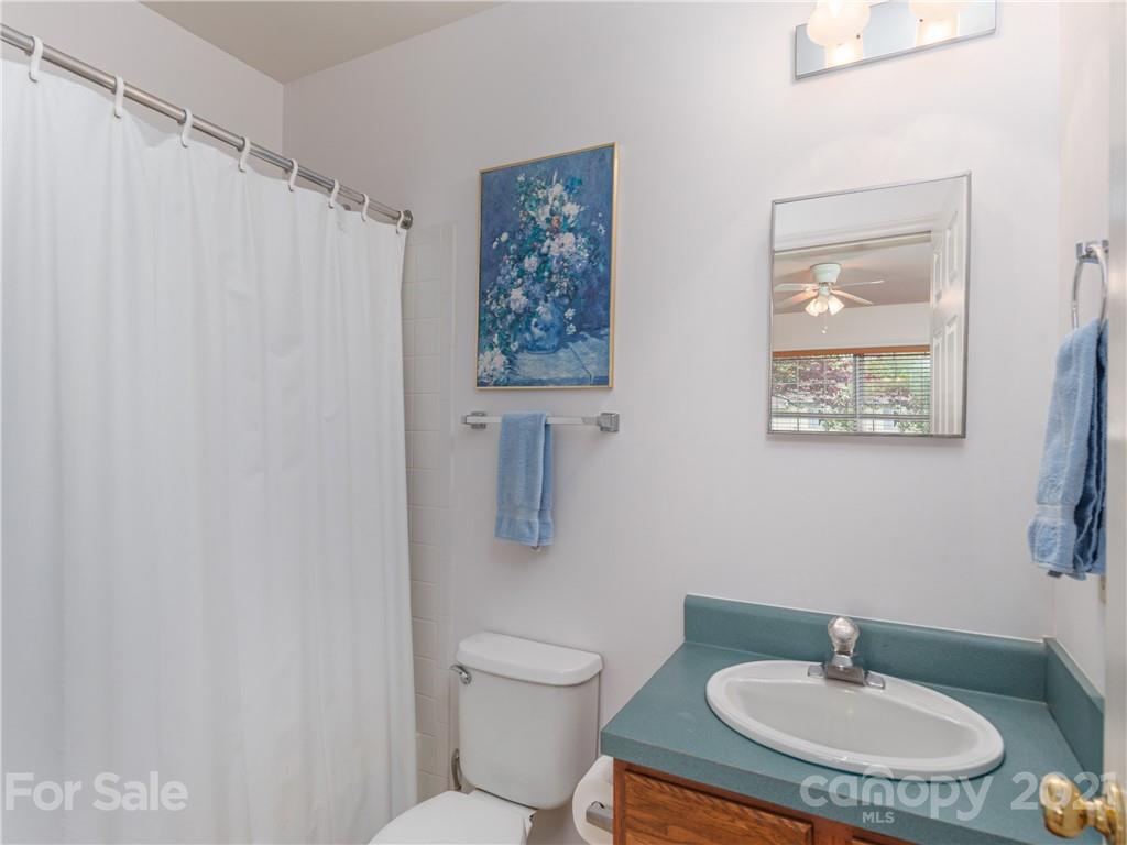 100 Ridgeline Road Clyde, NC 28721 - Photo 15 of 26 a bathroom with a toilet a sink and a mirror
