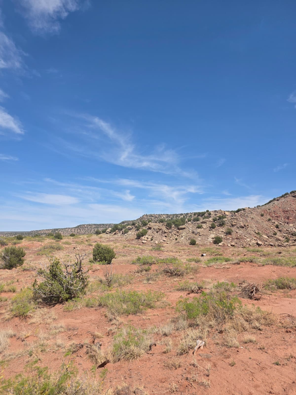 10 Rancho Lake Newkirk, NM 88431 - Photo 3 of 7
