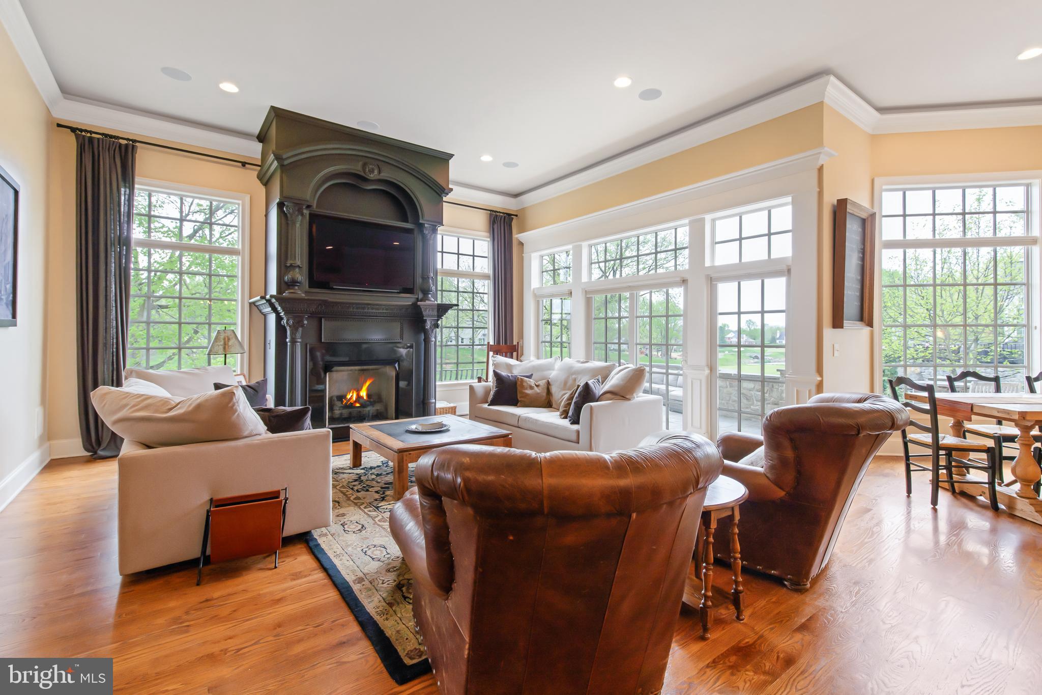 618 Willow Green Lititz, PA 17543 - Photo 16 of 63 a living room with furniture a flat screen tv and a fireplace
