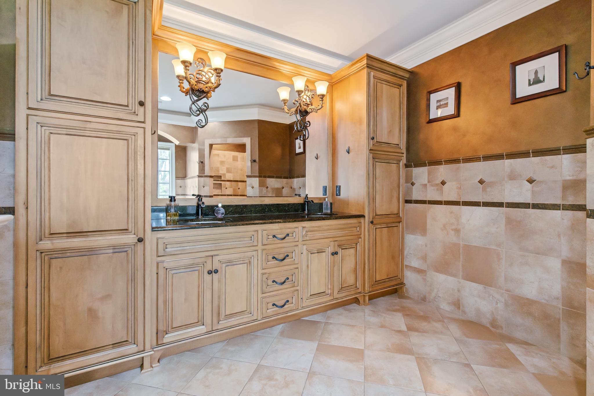 618 Willow Green Lititz, PA 17543 - Photo 35 of 63 a bathroom with a granite countertop sink a mirror and a shower