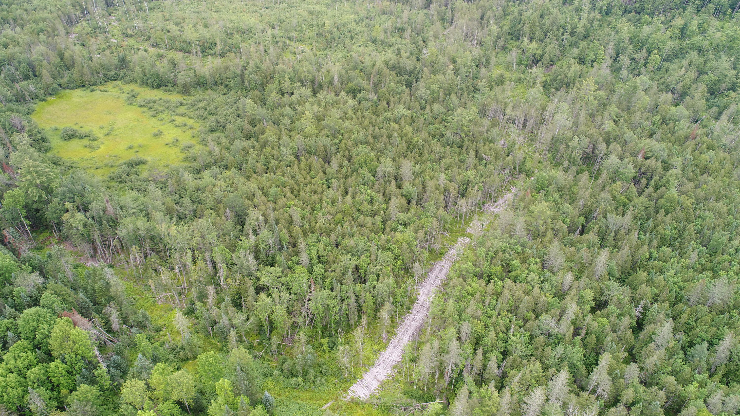 Tbd McCarty Road Solon, ME 04979 - Photo 13 of 17 DJI_0116