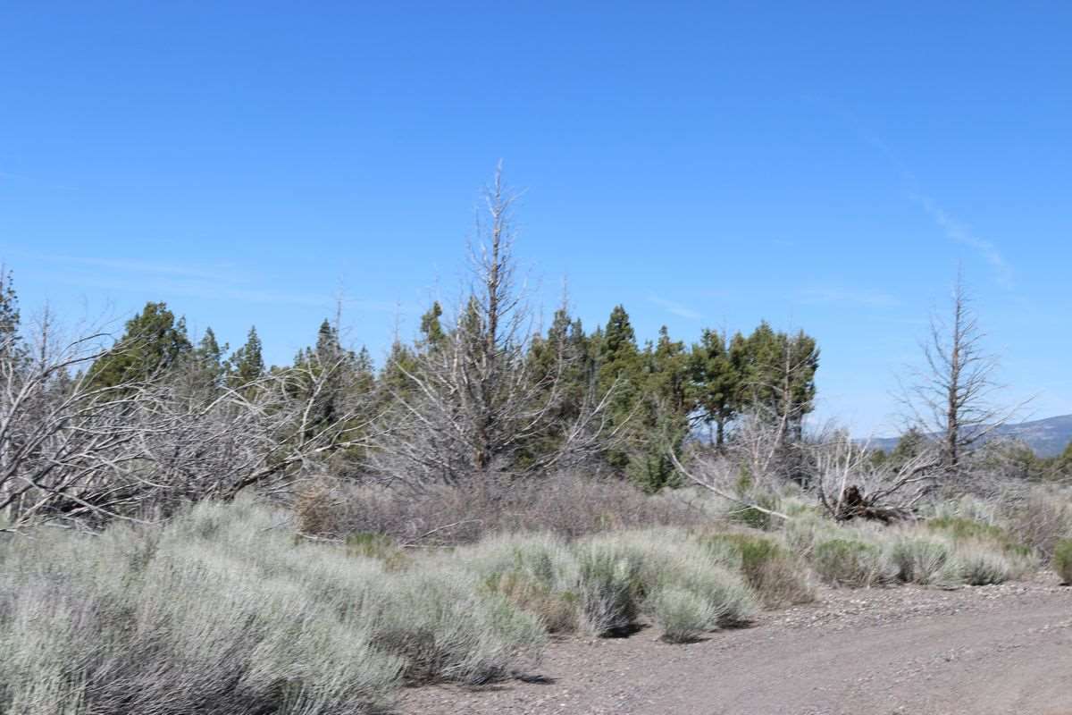 Lot 9 Marshall Road Montague, CA 96064 - Photo 3 of 10 Gallery Image 3