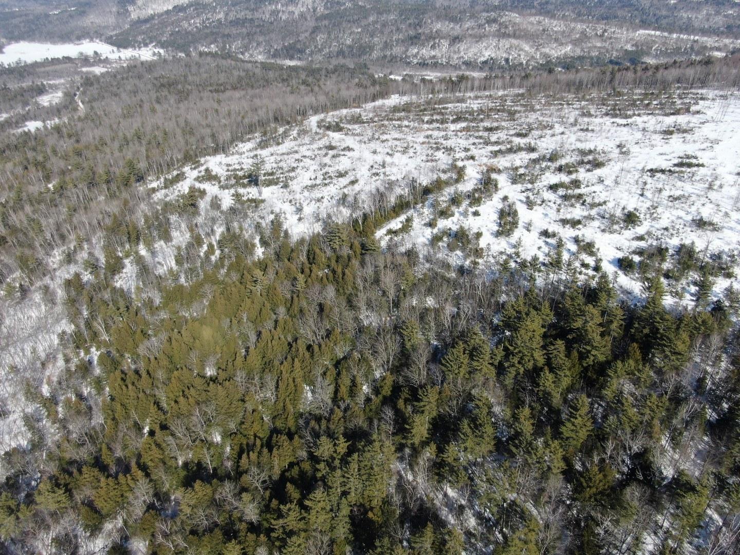 Tbd Tbd Holeman Road Rumford, ME 04276 - Photo 17 of 19 org_81137c33740de7a5_1582532546000_1440x