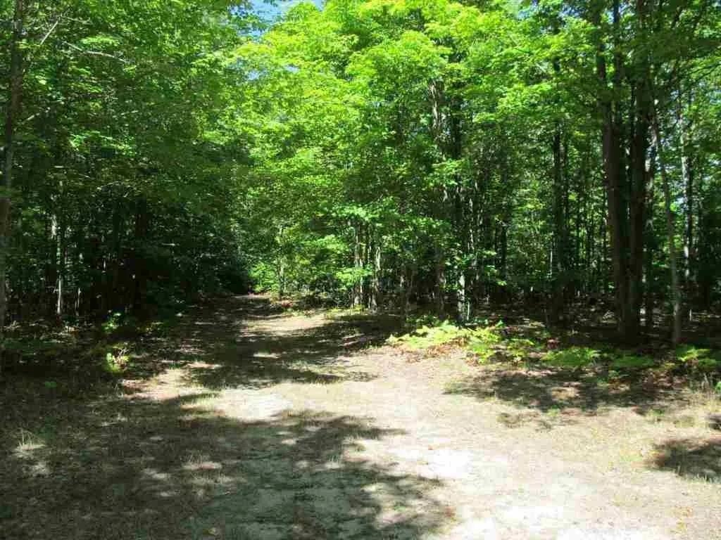 5560 North 3 Road Mesick, MI 49668 - Photo 9 of 14