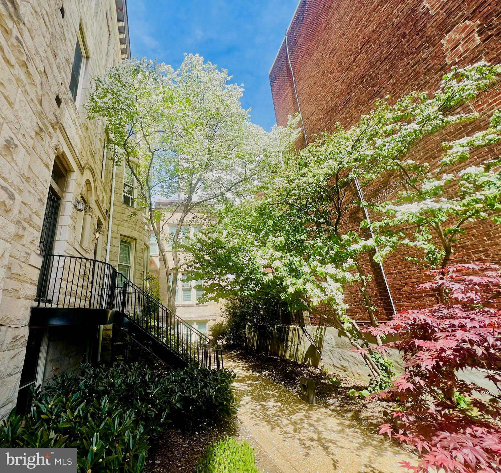 2107 S Street Northwest, Unit A Washington, DC 20008 - Photo 32 of 35
