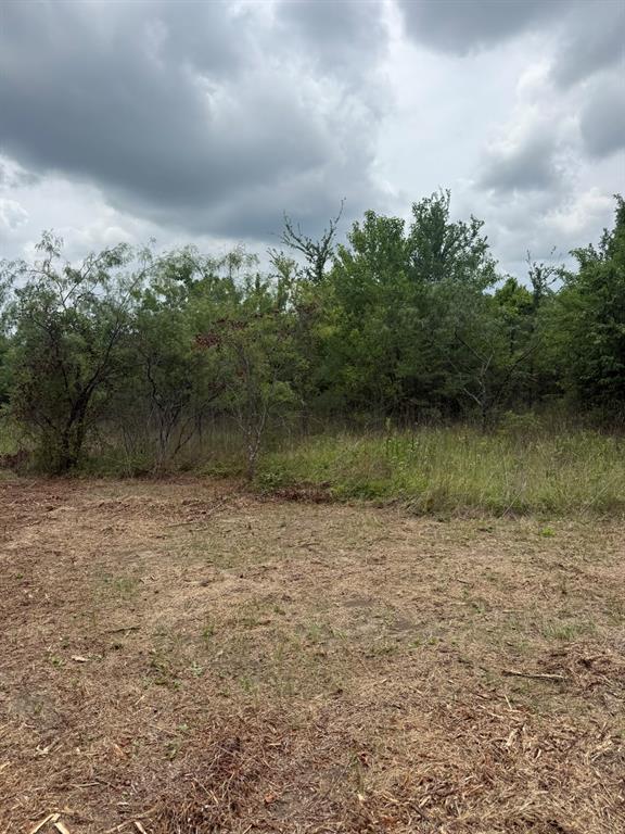 Tbd McKnight Road Ferris, TX 75125 - Photo 14 of 26