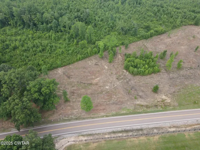 a view of a dry yard with trees