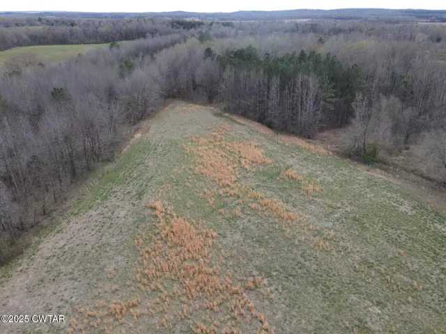 a view of a dry yard with trees
