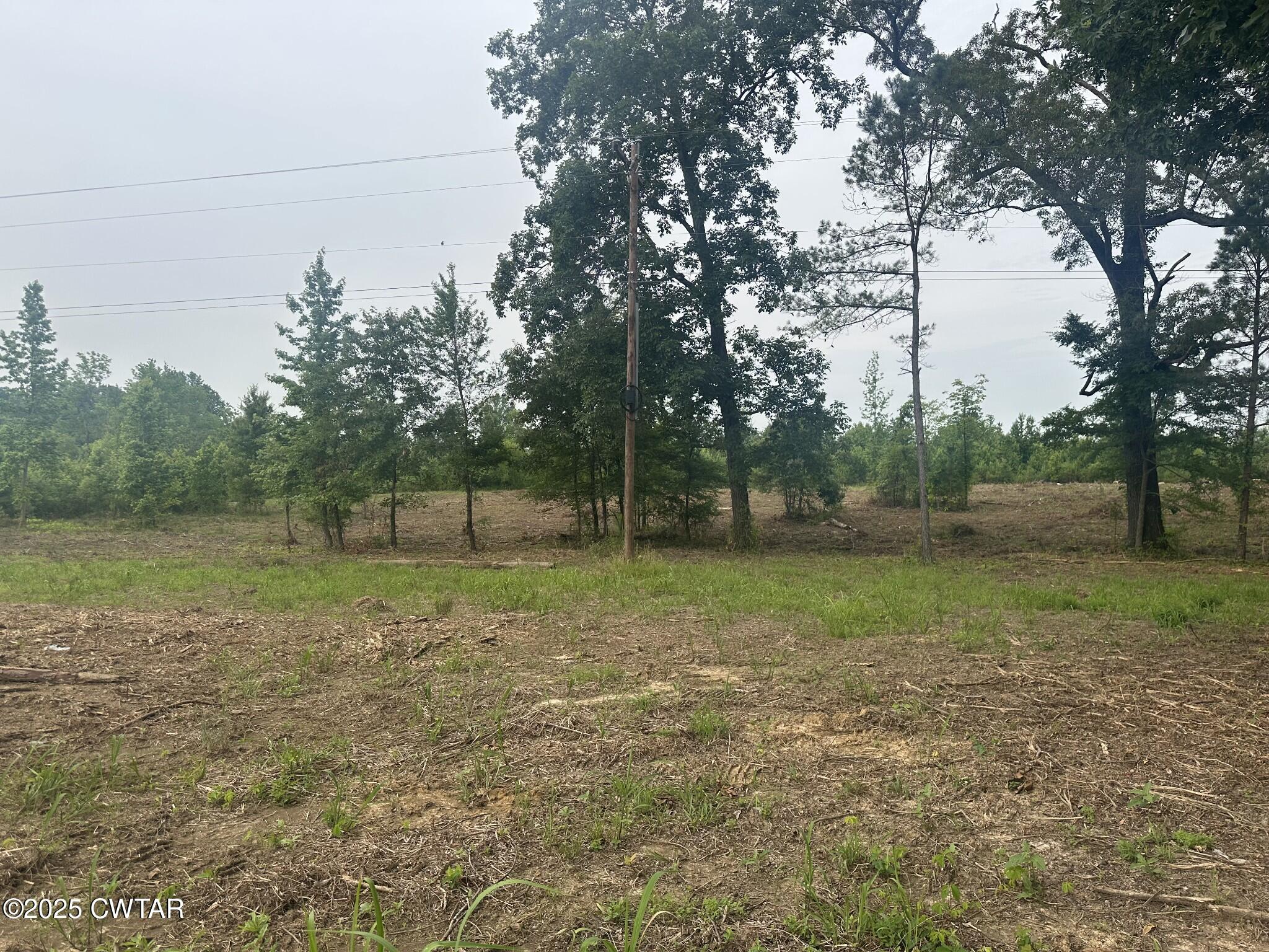 0 State Route Enville, TN 38332 - Photo 2 of 14 a view of outdoor space and yard