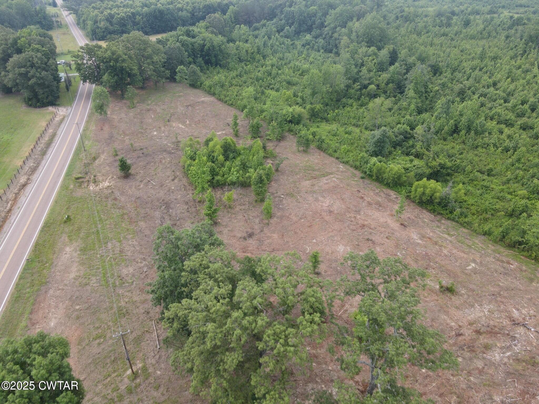 0 State Route Enville, TN 38332 - Photo 6 of 14 a view of a dry yard with trees