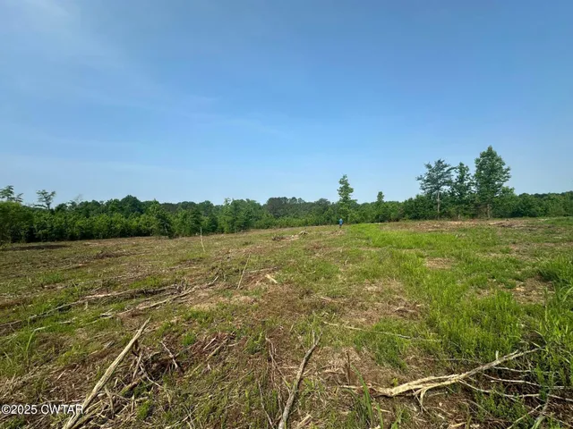 a view of a lake with houses in the background