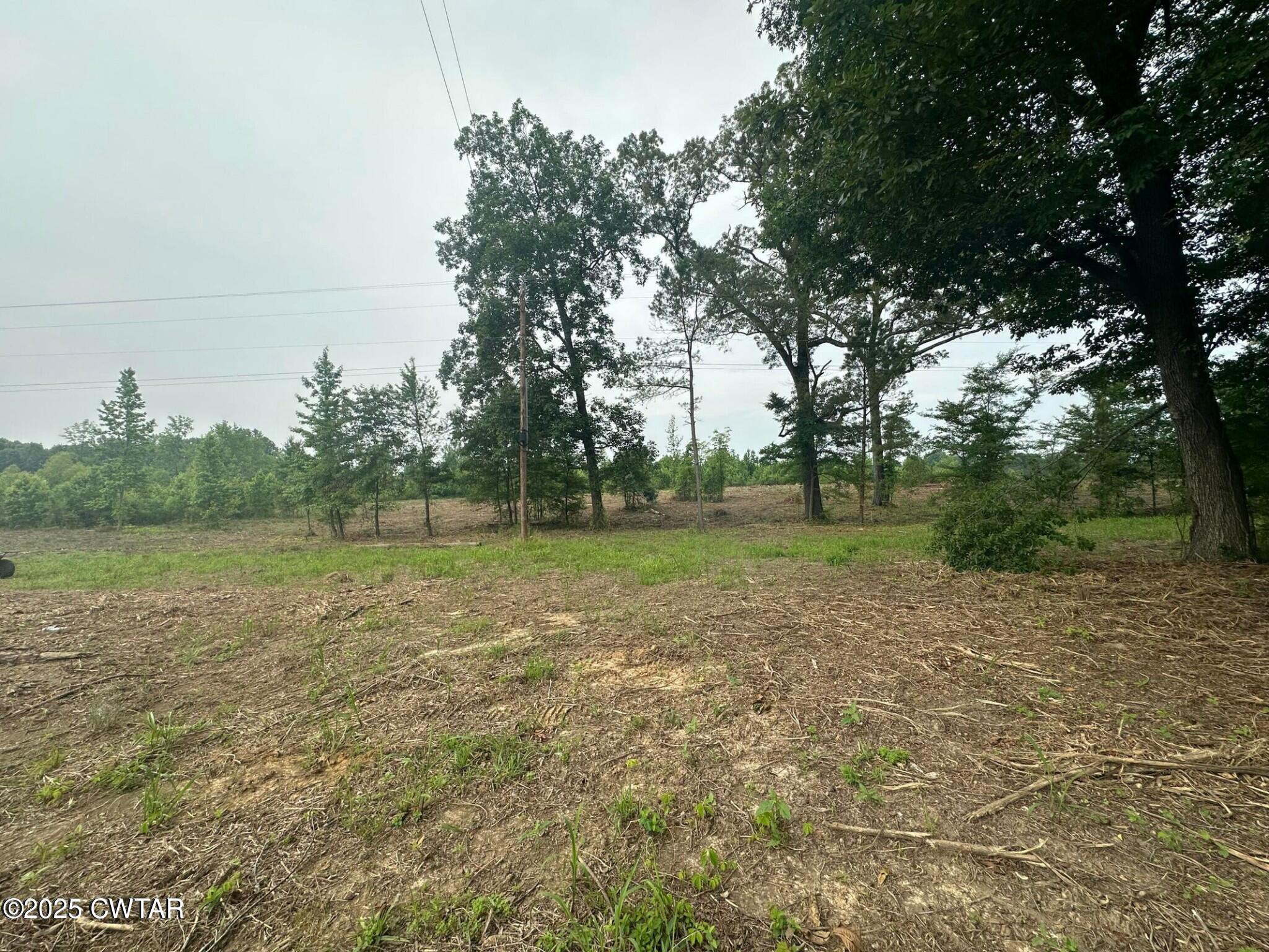 0 State Route Enville, TN 38332 - Photo 9 of 14 a view of outdoor space with deck and yard