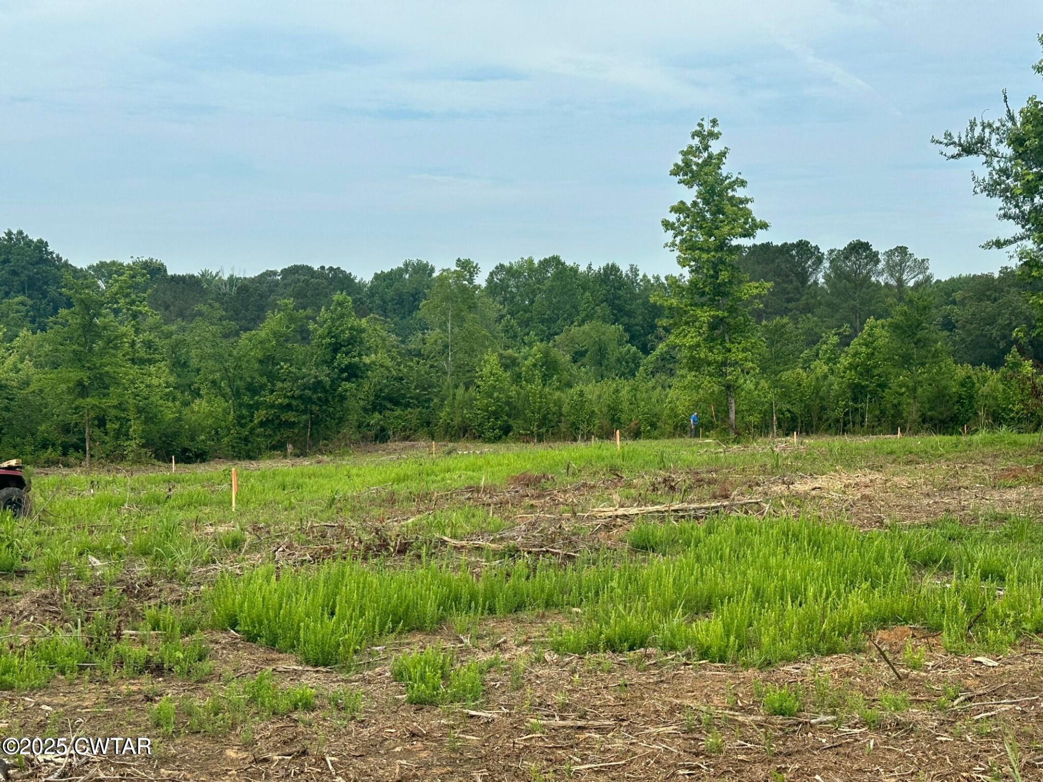 0 State Route Enville, TN 38332 - Photo 10 of 14 a view of an outdoor space and a yard