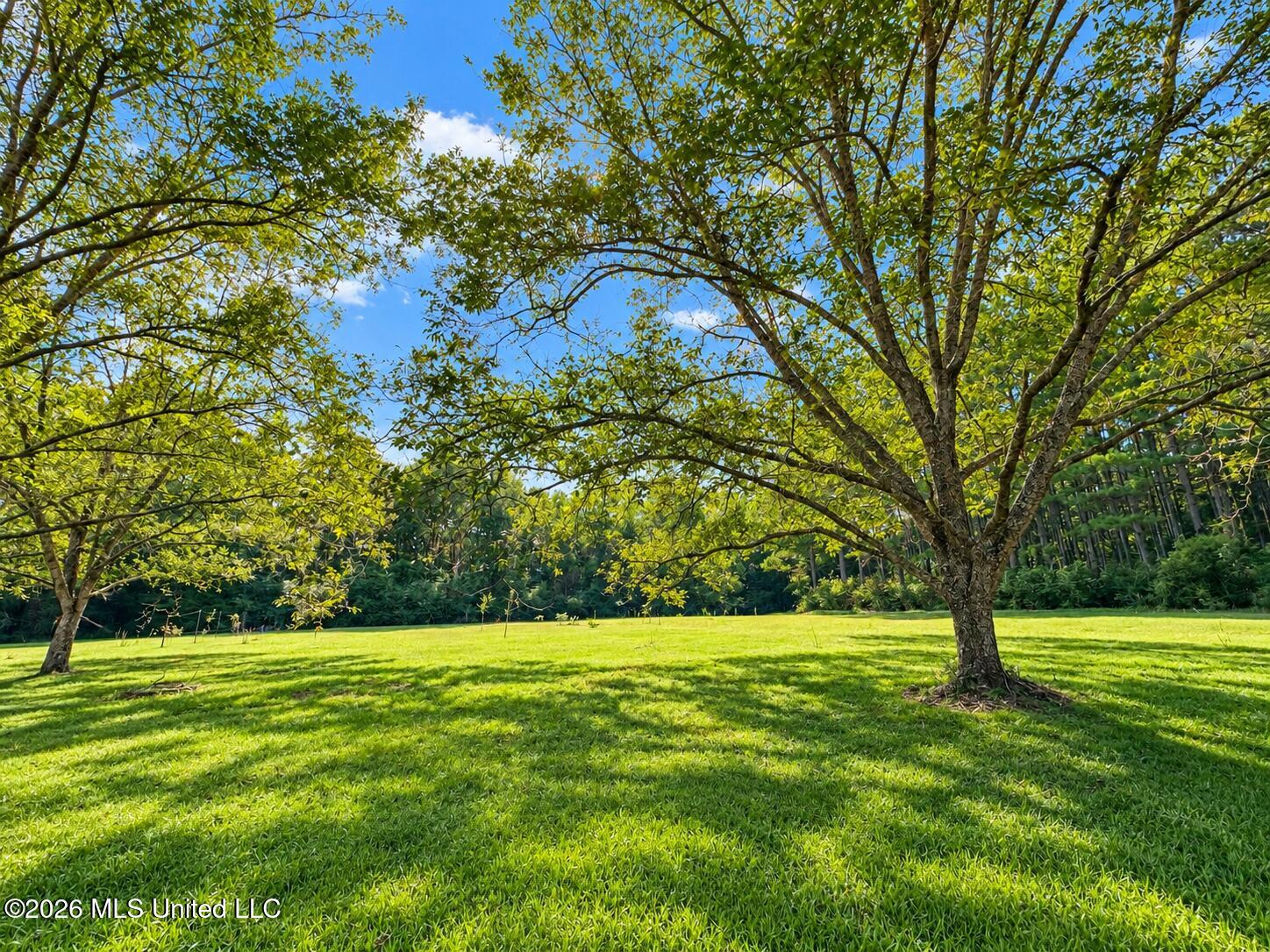751 Clem Road Prentiss, MS 39474 - Photo 43 of 43 E36E72EC-ADFF-4A83-897D-AEAC975FB8CF