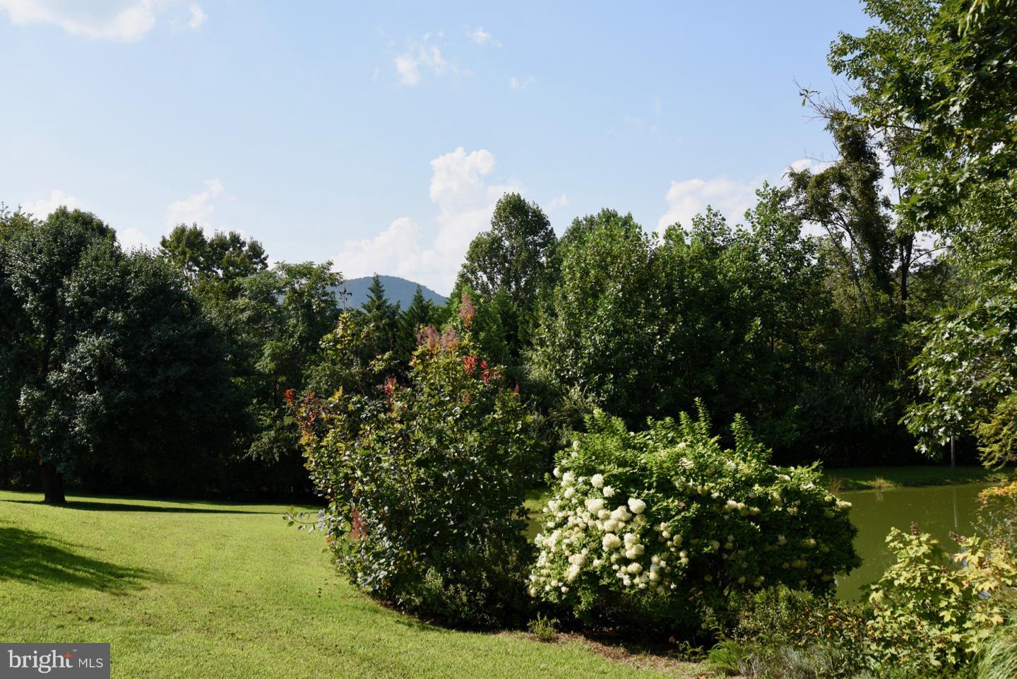 402 Castleton View Road Castleton, VA 22716 - Photo 24 of 29 Lawn View