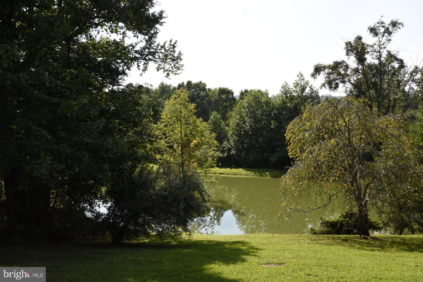 402 Castleton View Road Castleton, VA 22716 - Photo 25 of 29 Pond View