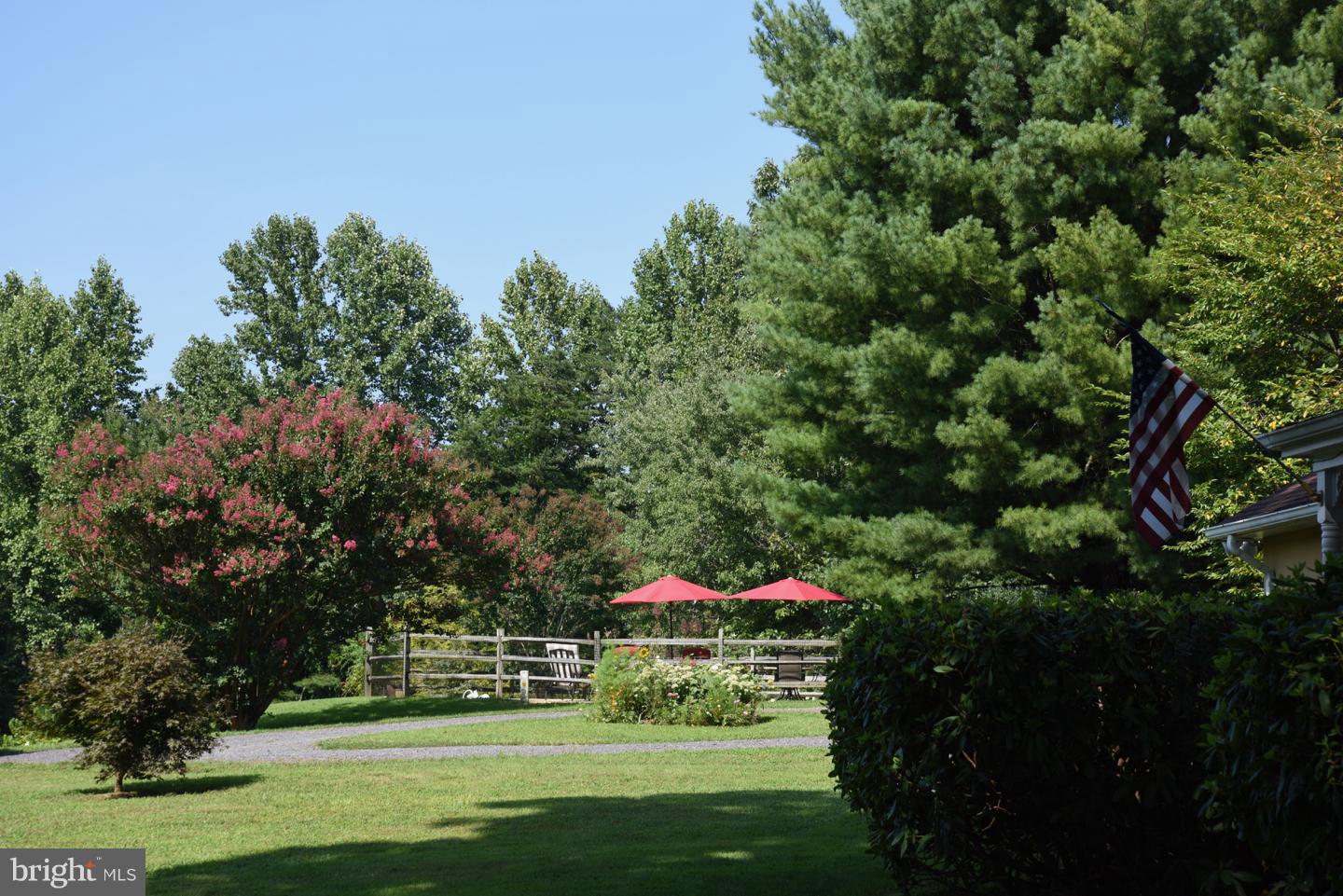 402 Castleton View Road Castleton, VA 22716 - Photo 26 of 29 Side Yard