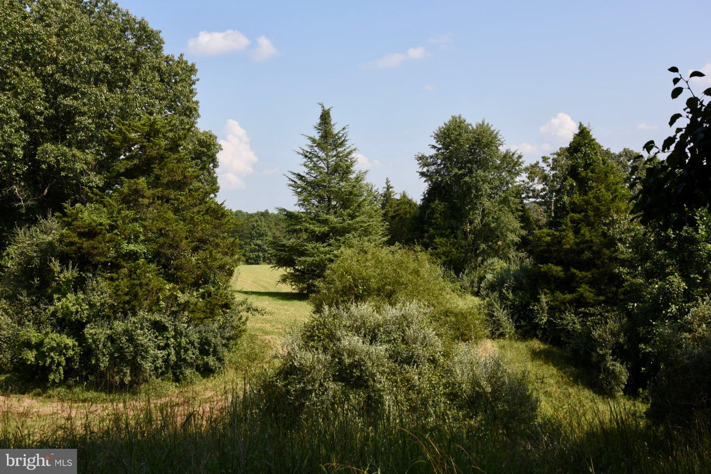 402 Castleton View Road Castleton, VA 22716 - Photo 28 of 29 South 40