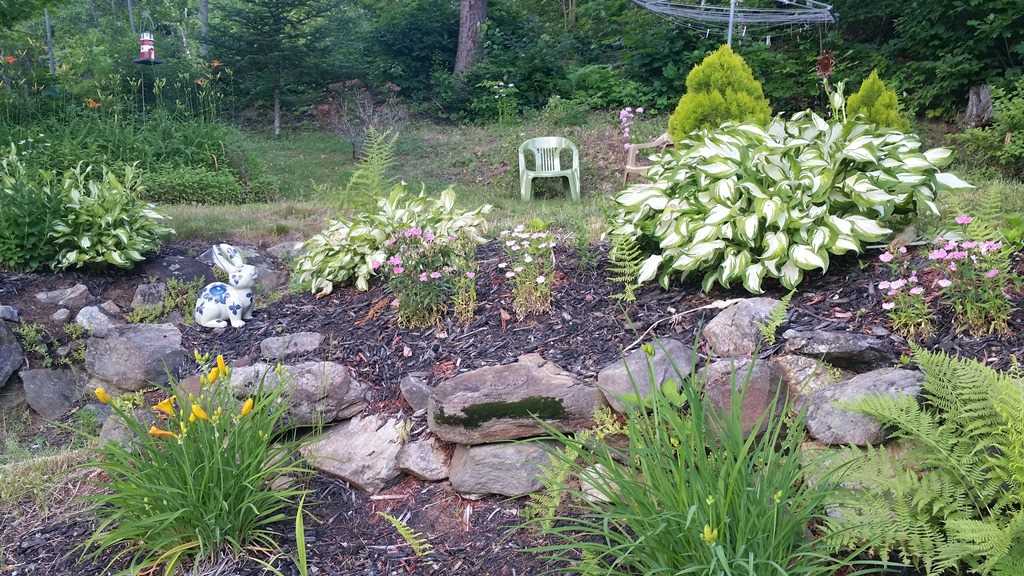 73 Gile Pond Road Franklin, NH 03235 - Photo 26 of 26 Gallery Image 26