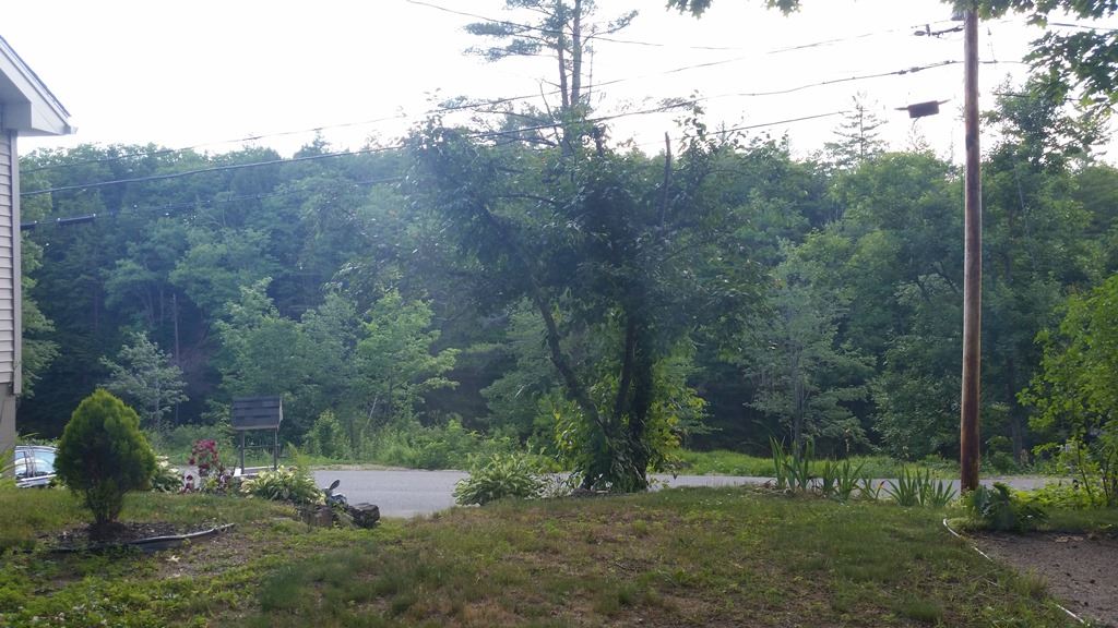 73 Gile Pond Road Franklin, NH 03235 - Photo 4 of 26 Gallery Image 4