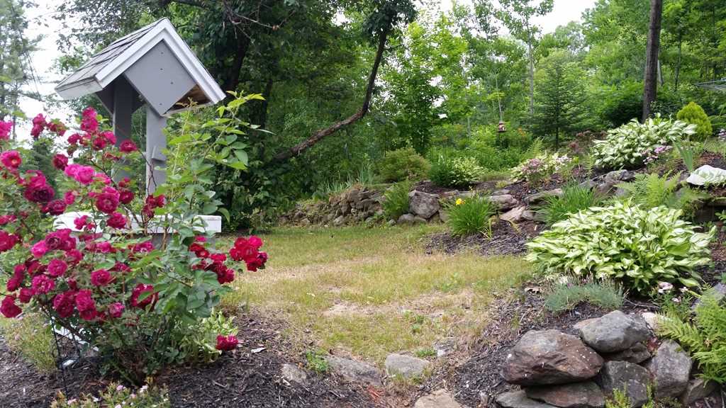 73 Gile Pond Road Franklin, NH 03235 - Photo 5 of 26 Gallery Image 5
