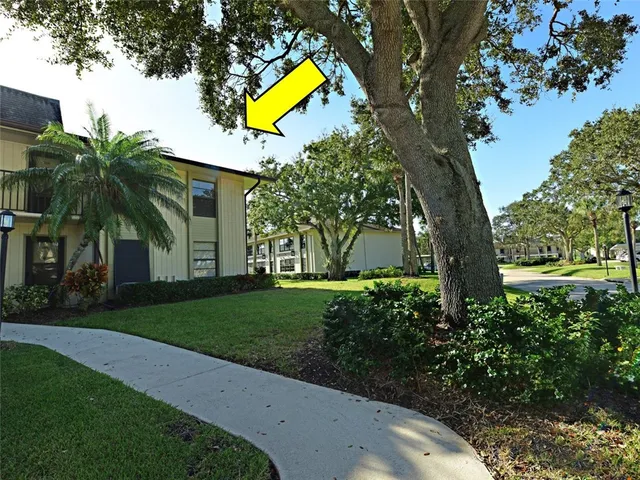 a view of a backyard