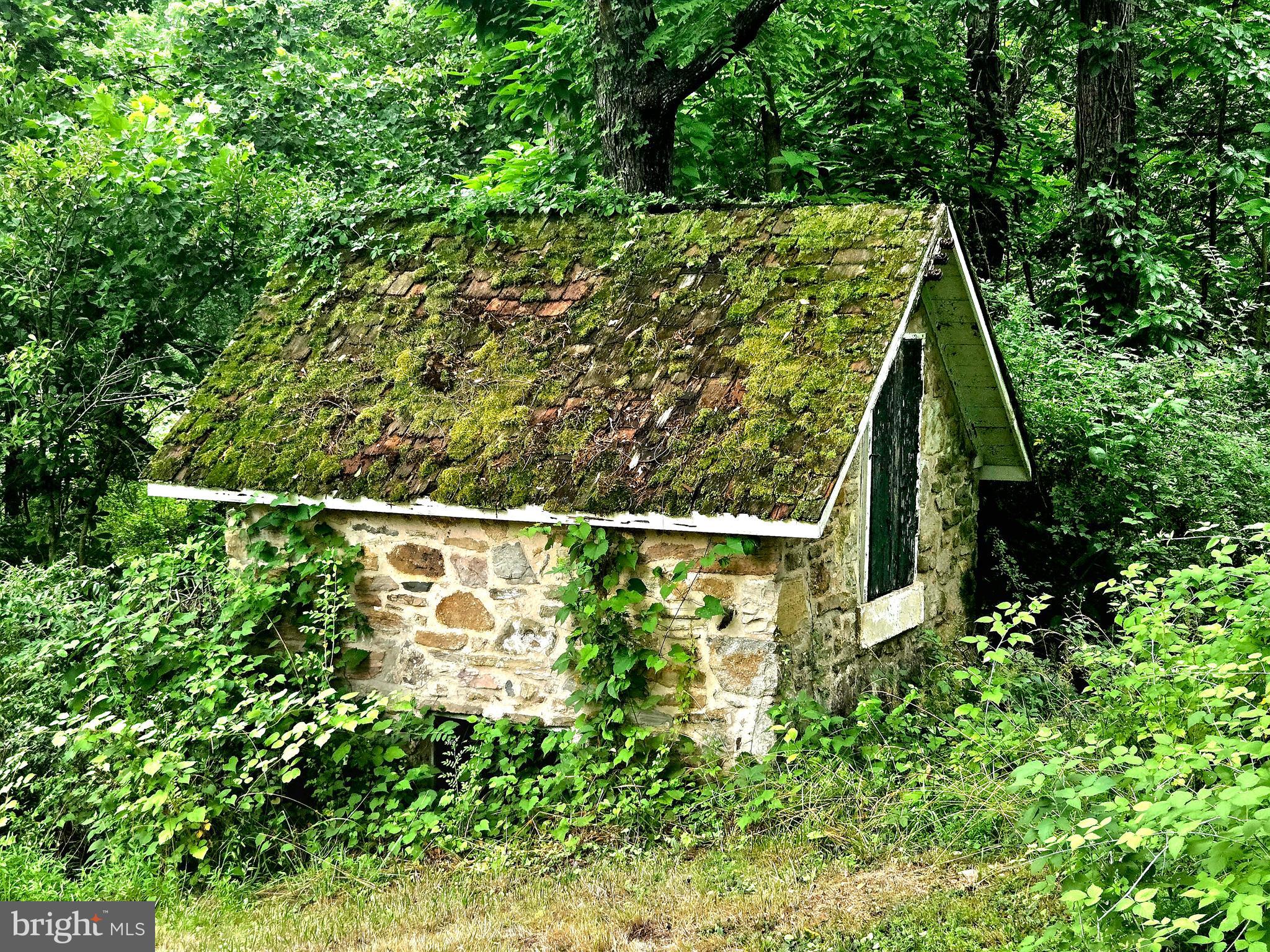 6750 Phillips Mill Road New Hope, PA 18938 - Photo 11 of 26 Stone Spring House