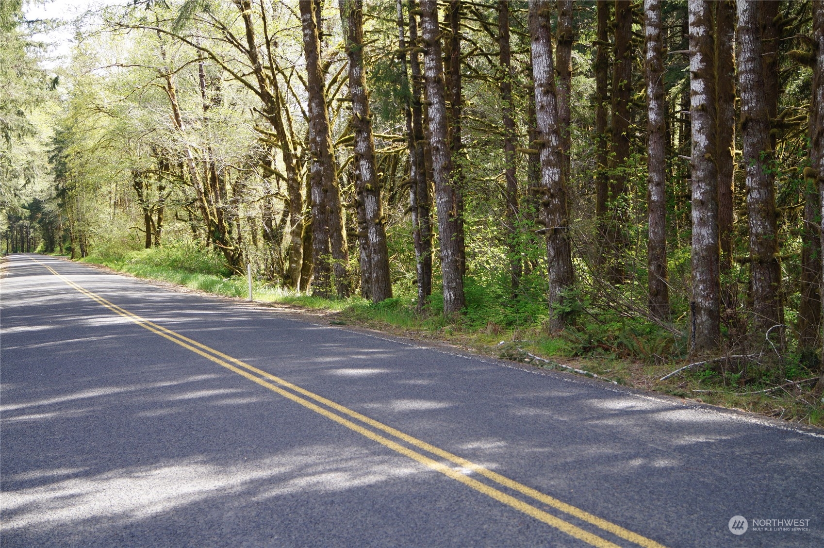 2.2 Garrard Creek Road Rochester, WA 98579 - Photo 1 of 10