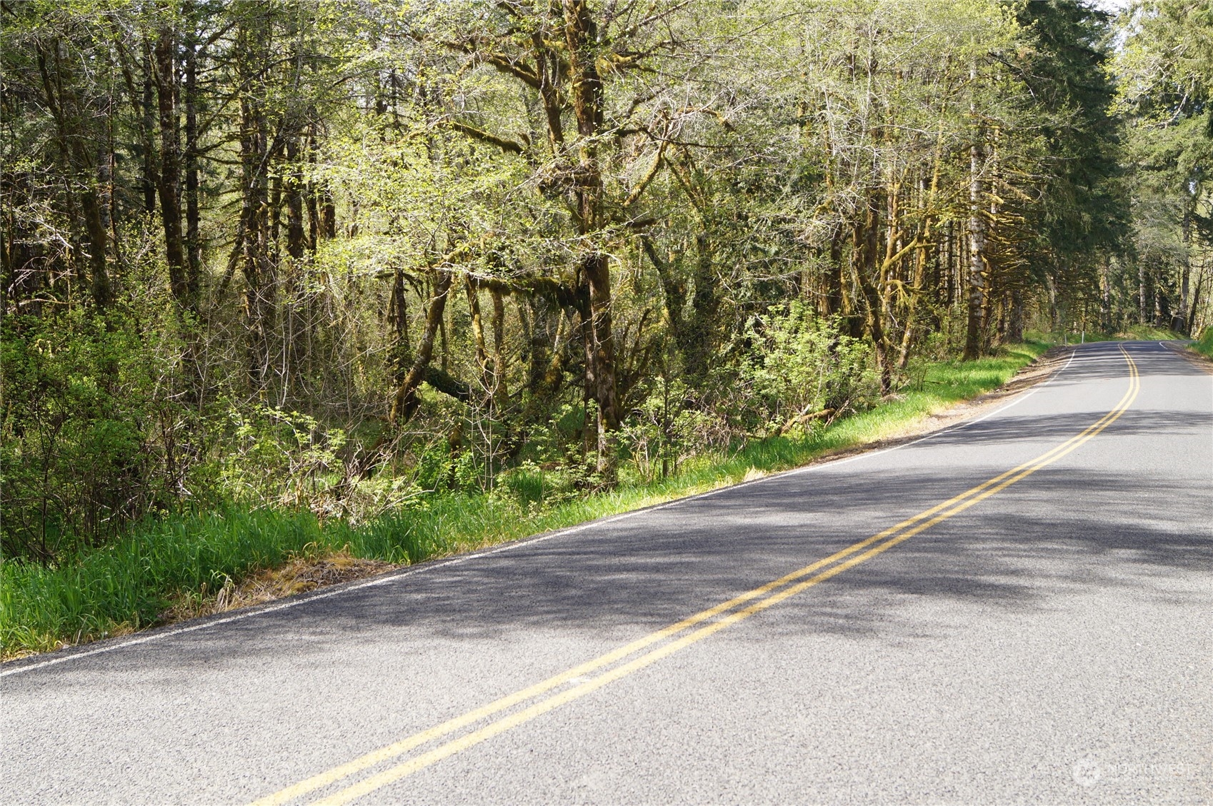 2.2 Garrard Creek Road Rochester, WA 98579 - Photo 2 of 10