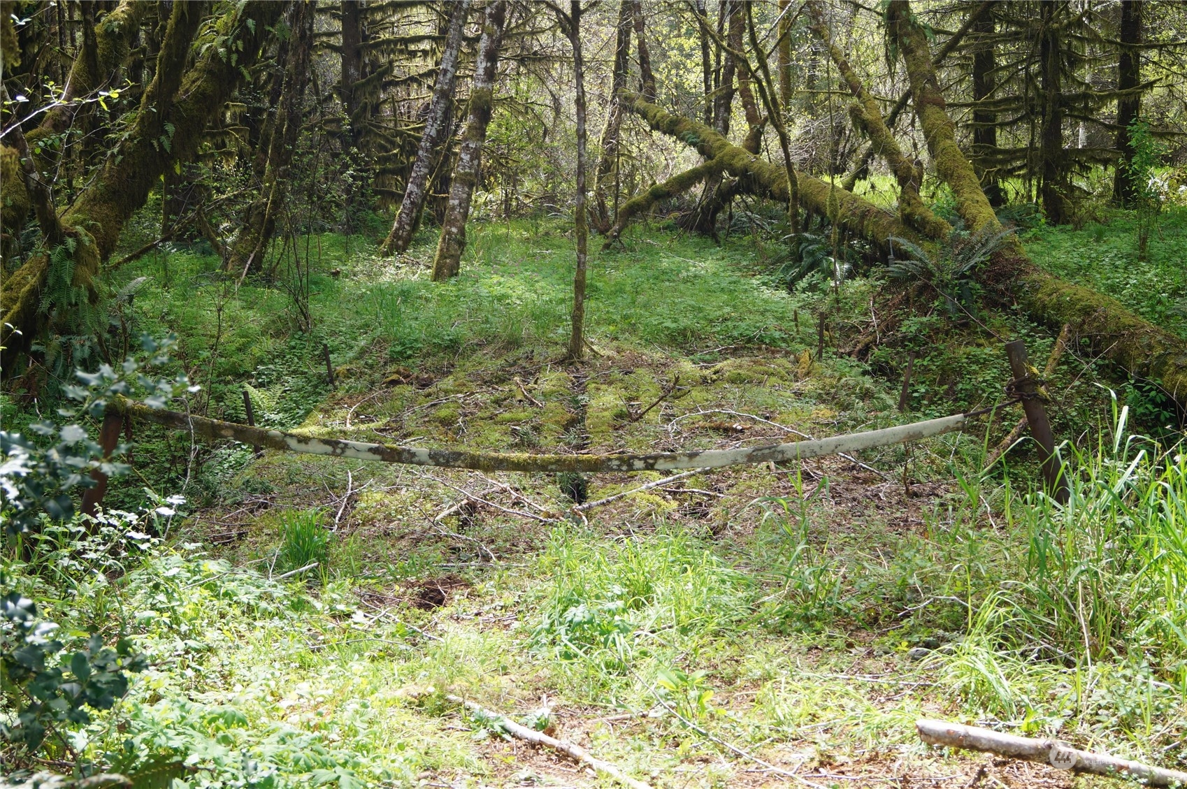2.2 Garrard Creek Road Rochester, WA 98579 - Photo 3 of 10