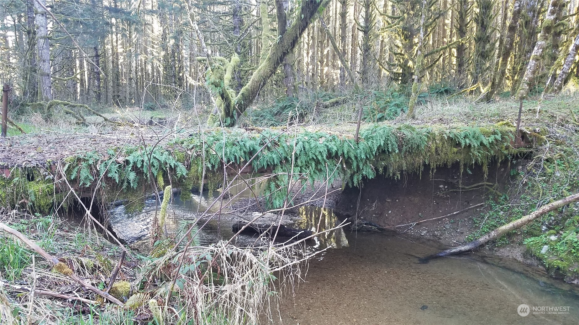 2.2 Garrard Creek Road Rochester, WA 98579 - Photo 4 of 10