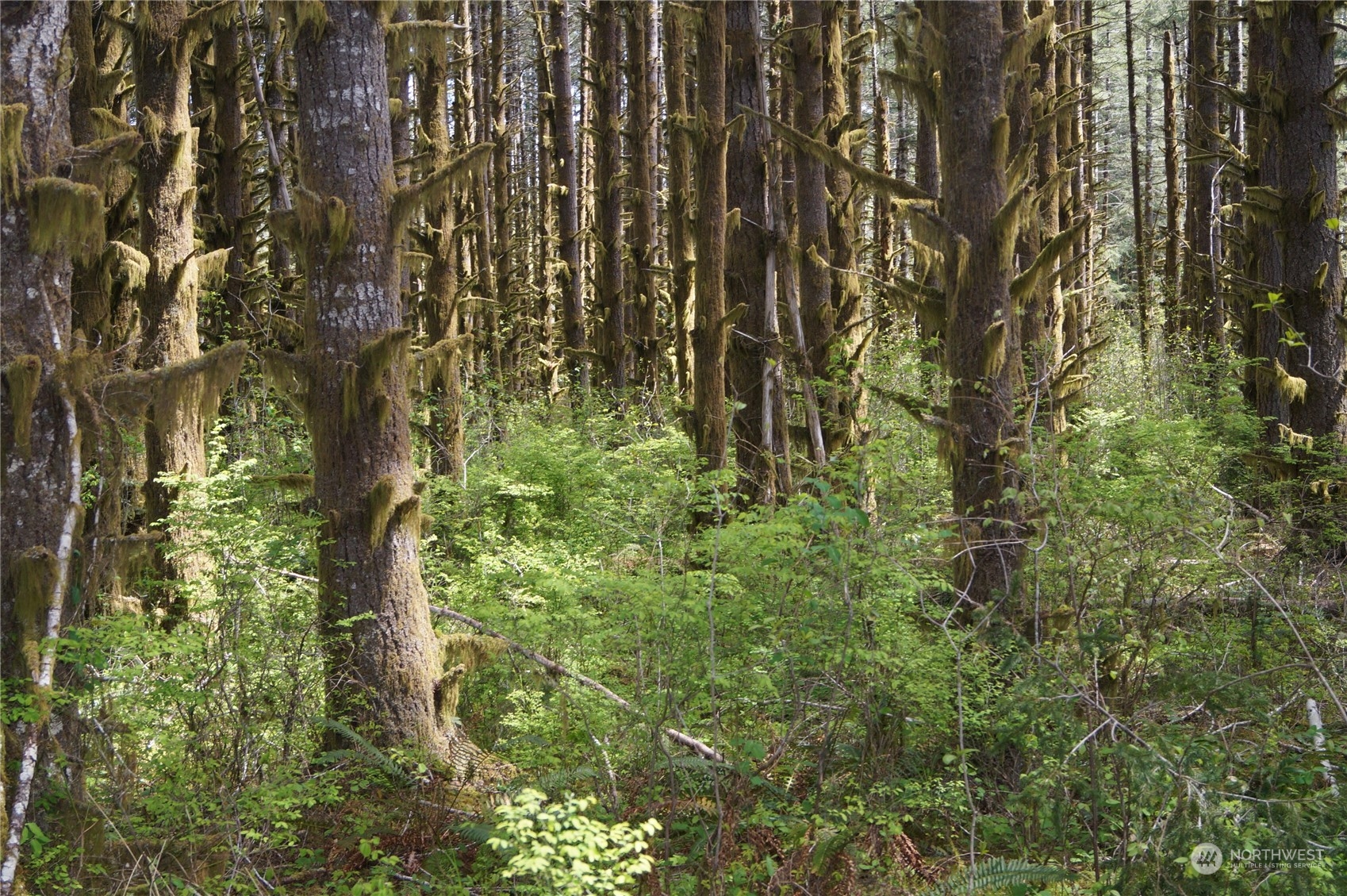 2.2 Garrard Creek Road Rochester, WA 98579 - Photo 5 of 10