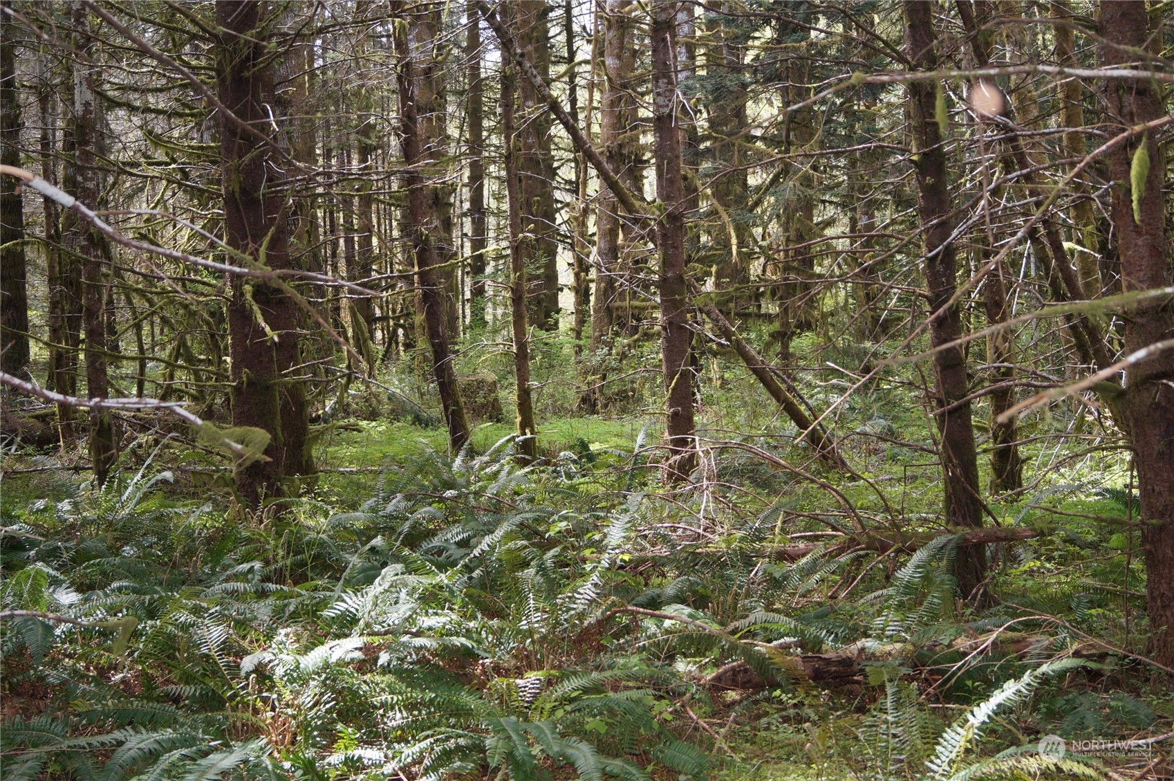 2.2 Garrard Creek Road Rochester, WA 98579 - Photo 6 of 10